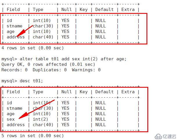 MySQL有哪些常用的基础语句