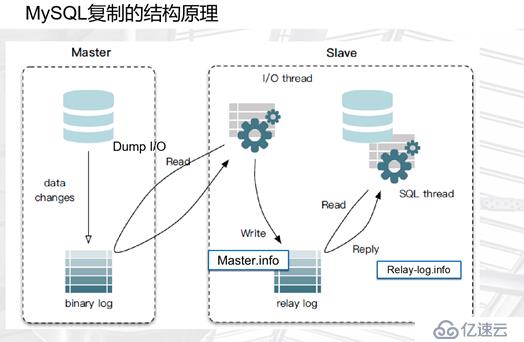 mysql 主从复制