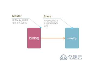 為什么mysql要使用主從模型