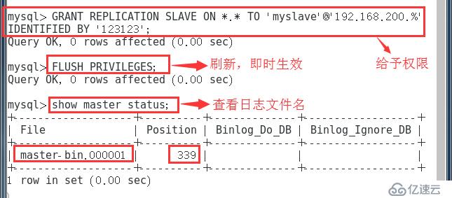 MySQL 主从同步与分离