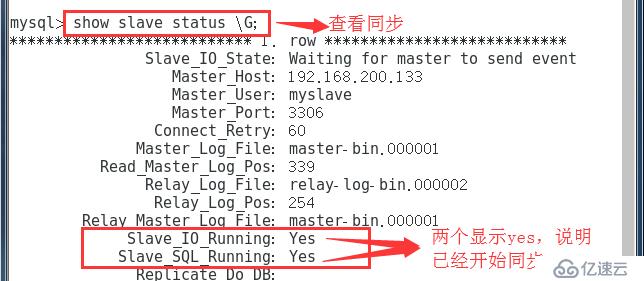 MySQL 主从同步与分离