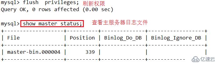 mysql主从复制及读写分离（附安装包）