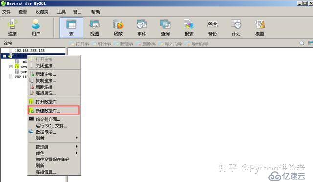 在Navicat中如何新建数据库和表并做查询