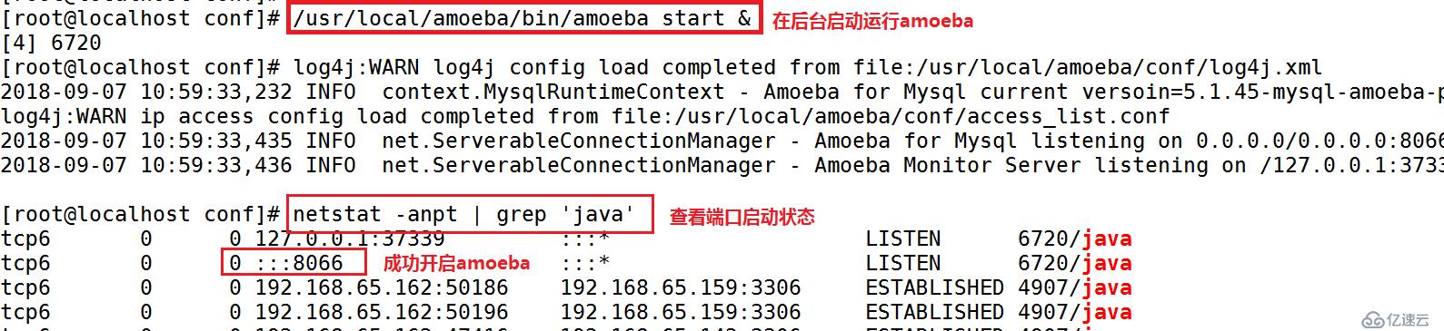 搭建 MySQL 读写分离（内附源码包）