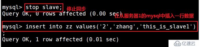 搭建 MySQL 读写分离（内附源码包）