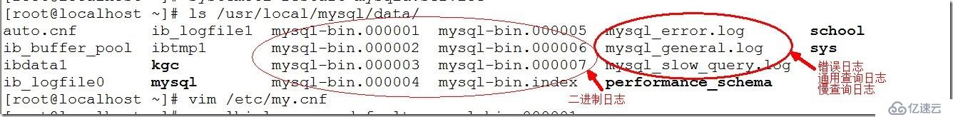 Mysql5.7数据库的常用管理