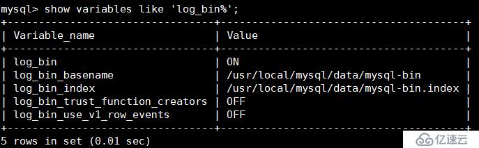 详解MySQL用户与授权、MySQL日志管理、数据乱码解决方案。