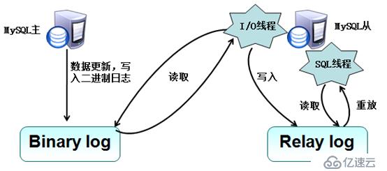 mysql主从复制以及读写分离