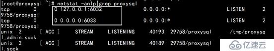 ProxySQL！像C罗一样的强大！