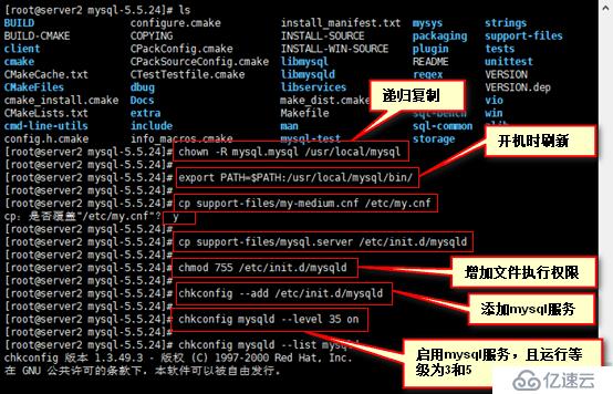 安装mysql