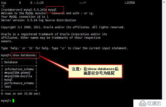 安装mysql