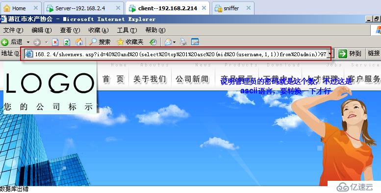 实验十一：sql注入之asp+access案例