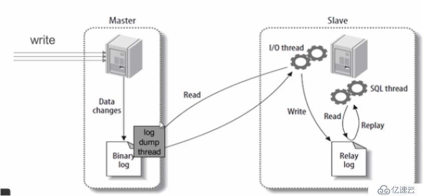 Linux系统mysql 主从配置搭建