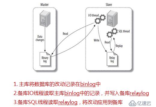 MySQL 5.7 主从复制详解