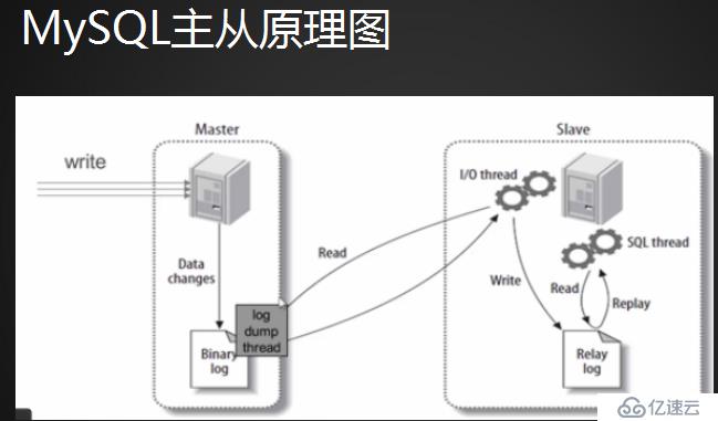 MySQL主从配置：主从介绍、配置主和从  、测试主从同步