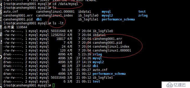 MySQL主從配置：主從介紹、配置主和從  、測試主從同步