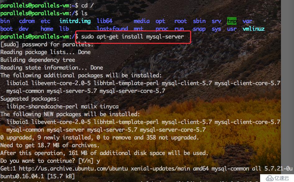 操作Ubuntu安装MySQL的详细步骤