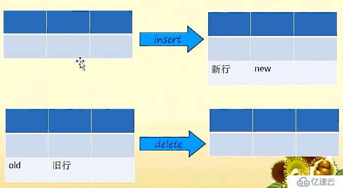 mysql基础三 触发器