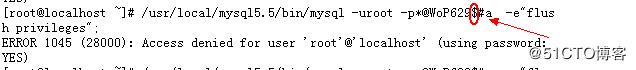 mysql设置复杂密码中含$特殊符号导致无法命令登录