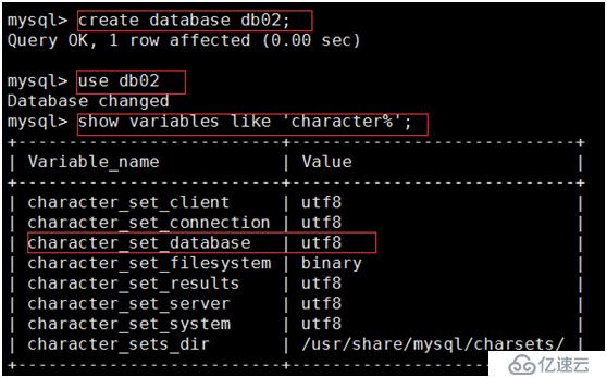 Linux centos7 安装mysql5