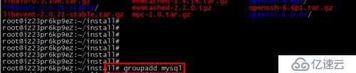 Linux系统下载安装Mysql的详细教程