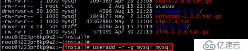 Linux系统下载安装Mysql的详细教程