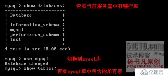 MySQL的安装及基本操作