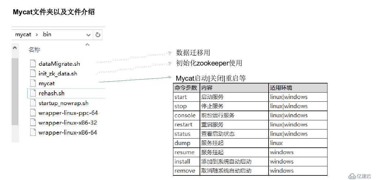 Mycat学习实战-Mycat初识