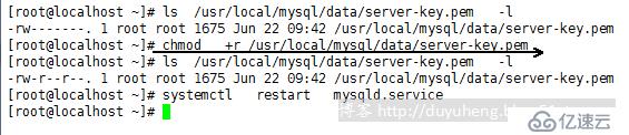 MySql之基于ssl安全连接的主从复制 