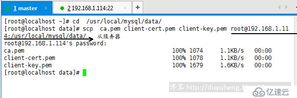 MySql之基于ssl安全連接的主從復制 