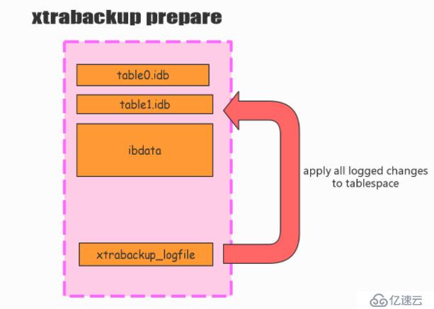 Xtrabackup搭建主从