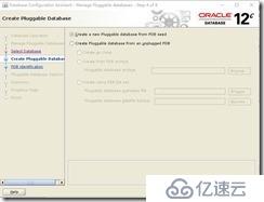 Создание пользователя cdb oracle