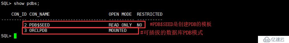 怎么应用Oracle 12c插拔数据库