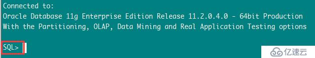 Linux中登錄sqlplus時(shí),顯示user@SID