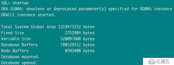 ORA-32004: obsolete or deprecated parameter(s) spe