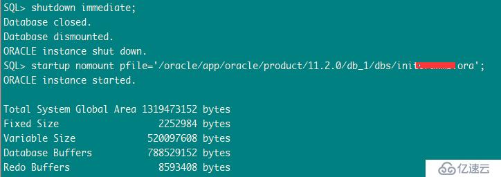 ORA-32004: obsolete or deprecated parameter(s) spe