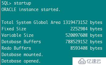 ORA-32004: obsolete or deprecated parameter(s) spe