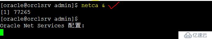 Oracle 11g R2 网络侦听器实验