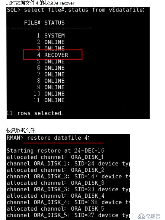 Oracle数据库的备份与恢复