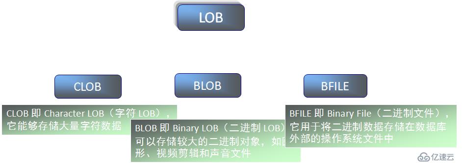 03 Oracle数据类型