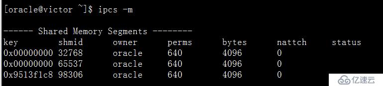 oracle 共享内存查看  ipcs命令详解