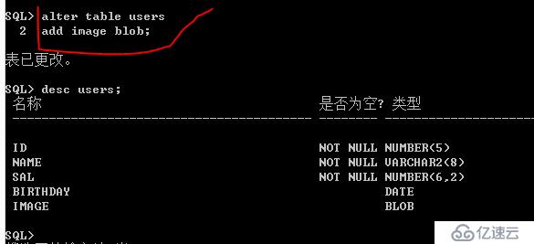 Oracle系列：（17）创建表和约束