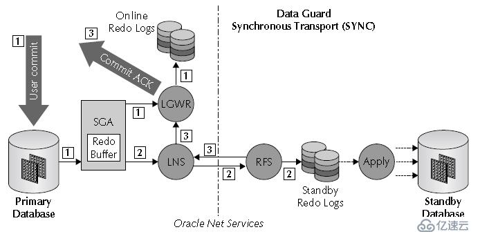 Oracle学习之DATAGUARD(一) DG架构