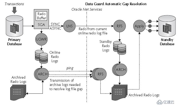 Oracle学习之DATAGUARD(一) DG架构