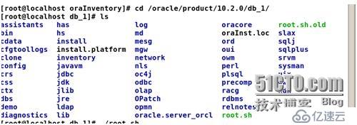 RHEL5.4下安装oracle10g release2