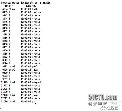 RHEL5.4下安装oracle10g release2