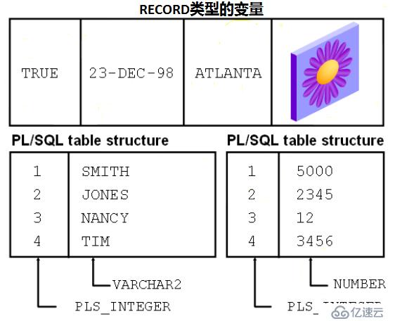 5.PL_SQL——變量的種類以及如何聲明變量（autoprint, %TYPE）