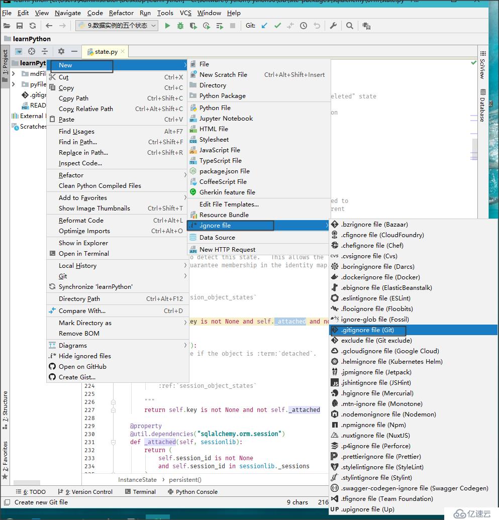 pycharm gitignore file