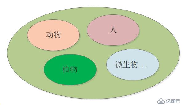 Python面向对象编程基础