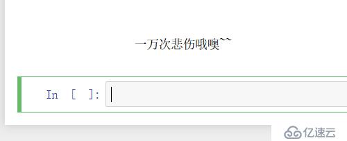 学会使用jupyter来编写代码